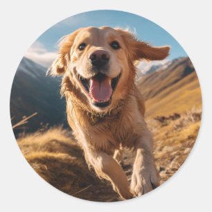 Happy Golden Retriever Running  Classic Round Sticker