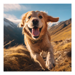 Happy Golden Retriever Running  Photo Print