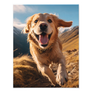 Happy Golden Retriever Running  Photo Print