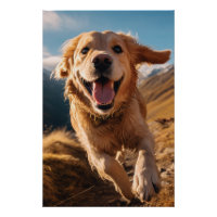 Happy Golden Retriever Running 