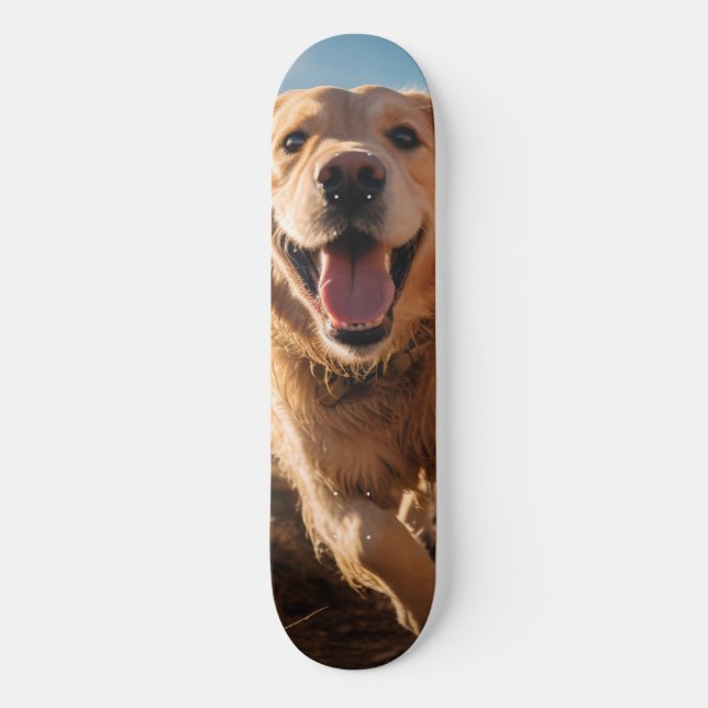 Happy Golden Retriever Running  Skateboard (Front)