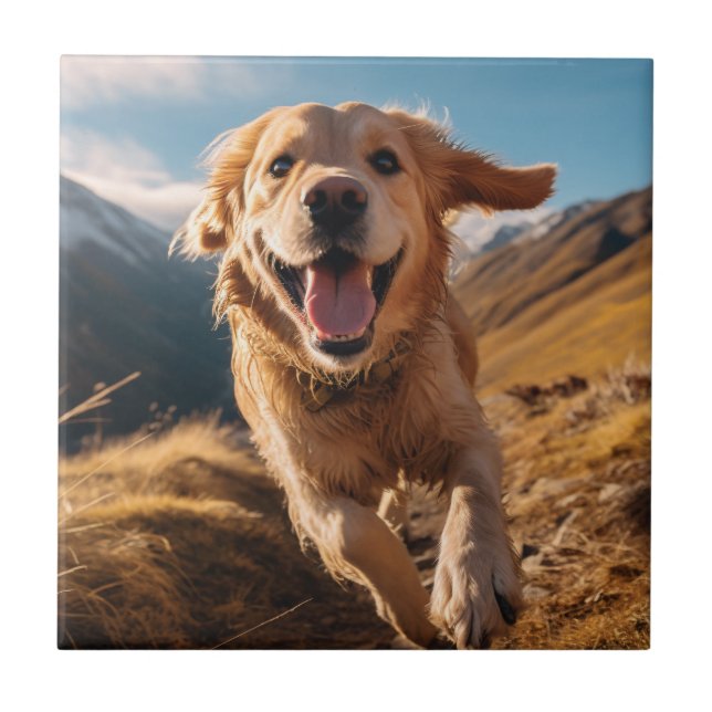 Happy Golden Retriever Running  Tile (Front)