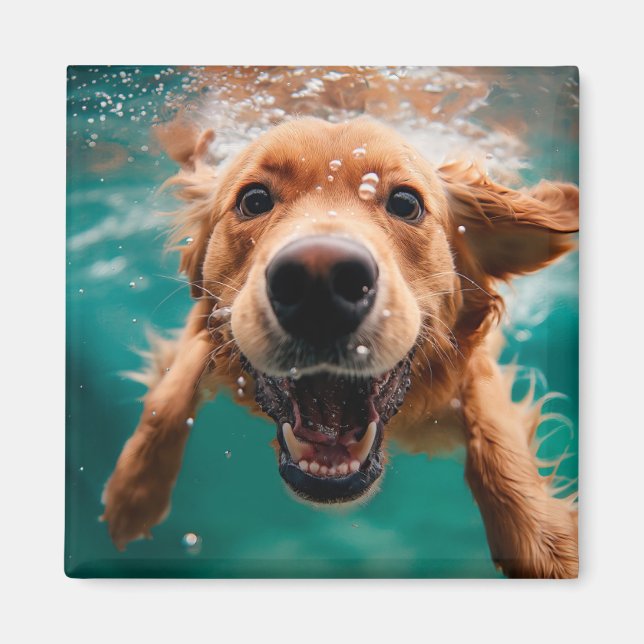 Happy Golden Retriever Swimming Underwater Magnet (Front)