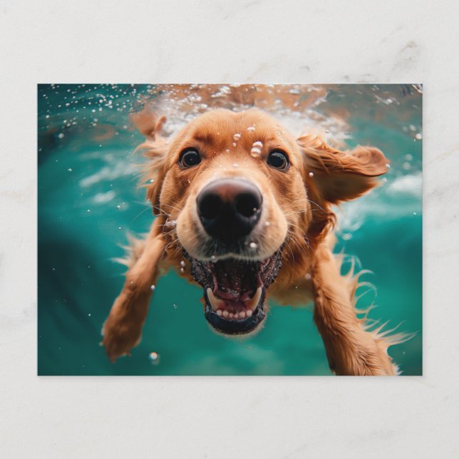Happy Golden Retriever Swimming Underwater Postcard (Front)