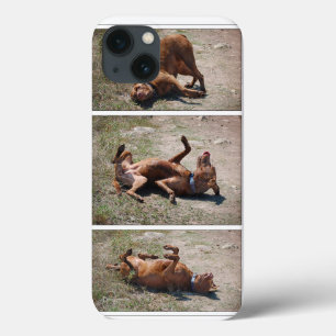 Happy Goofy Chocolate Lab Pit Mix Dog triptych iPhone 13 Case