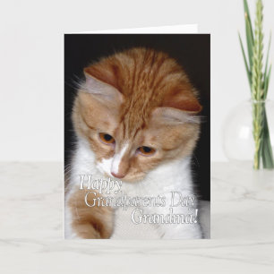 Happy Grandparents Day Grandma Cute Cat Card