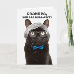 Happy Grandparents Day Grandpa Old Man Cat Humour  Holiday Card