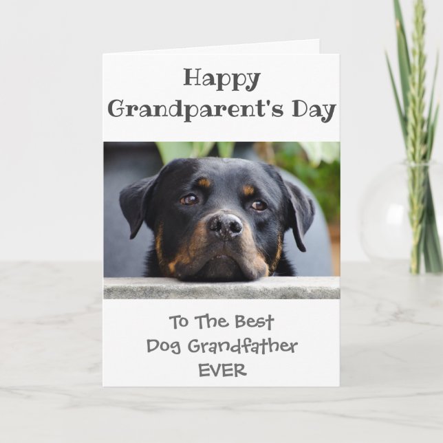 Happy Grandparents Day to Grandfather from the Dog Card (Front)