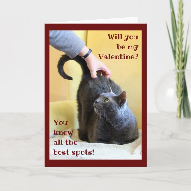 Happy Grey Cat with Tail Up                Holiday Card (Front)