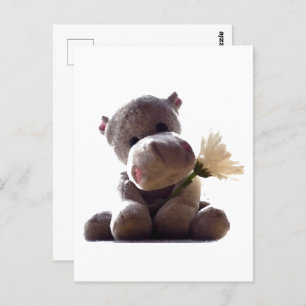 Happy Grey Hippo with Daisy Drawing Photograph Postcard