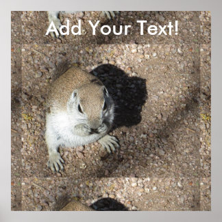 Happy Ground Squirrel Poster