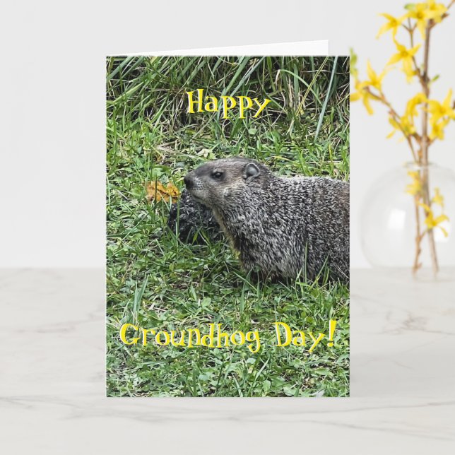 Happy Groundhog Day, custom greeting cards (Yellow Flower)