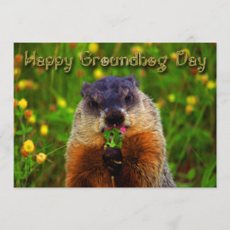 Happy Groundhog Day Eating Flower Invitation