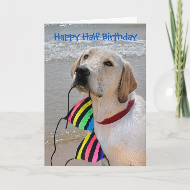 Happy Half Birthday Labrador Retriever Card (Front)