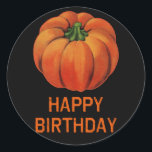Happy Halloween Birthday with Pumpkin Classic Round Sticker<br><div class="desc">Cute sticker with a pumpkin,  for Halloween birthdays. Halloween stickers make great trick or treat gifts,  and are fun for decorating all your Halloween projects.

See all our Halloween stickers in our shop at <_a20_href3d_22_http3a_2f_2f_www.zazzle.com2f_stickermad2f_products3f_dp3d_026_cg3d_1968804207039730773c_2f_a3e_21_0d_0a_3c_br3e_0d_0a_copyright20_scarebaby20_design2c_20_a20_trademarked20_brand20_name2c_20_and20_backed20_by20_the20_zazzle20_guarantee. href=""></_a20_href3d_22_http3a_2f_2f_www.zazzle.com2f_stickermad2f_products3f_dp3d_026_cg3d_1968804207039730773c_2f_a3e_21_0d_0a_3c_br3e_0d_0a_copyright20_scarebaby20_design2c_20_a20_trademarked20_brand20_name2c_20_and20_backed20_by20_the20_zazzle20_guarantee.></div>