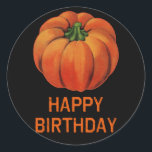 Happy Halloween Birthday with Pumpkin Classic Round Sticker<br><div class="desc">Cute sticker with a pumpkin,  for Halloween birthdays. Halloween stickers make great trick or treat gifts,  and are fun for decorating all your Halloween projects.

See all our Halloween stickers in our shop at <_a20_href3d_22_http3a_2f_2f_www.zazzle.com2f_stickermad2f_products3f_dp3d_026_cg3d_1968804207039730773c_2f_a3e_21_0d_0a_3c_br3e_0d_0a_copyright20_scarebaby20_design2c_20_a20_trademarked20_brand20_name2c_20_and20_backed20_by20_the20_zazzle20_guarantee. href=""></_a20_href3d_22_http3a_2f_2f_www.zazzle.com2f_stickermad2f_products3f_dp3d_026_cg3d_1968804207039730773c_2f_a3e_21_0d_0a_3c_br3e_0d_0a_copyright20_scarebaby20_design2c_20_a20_trademarked20_brand20_name2c_20_and20_backed20_by20_the20_zazzle20_guarantee.></div>