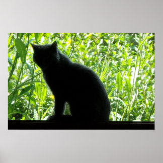 Happy Halloween Black Cat Poster
