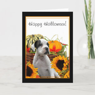 Happy Halloween boxer puppy greeting card