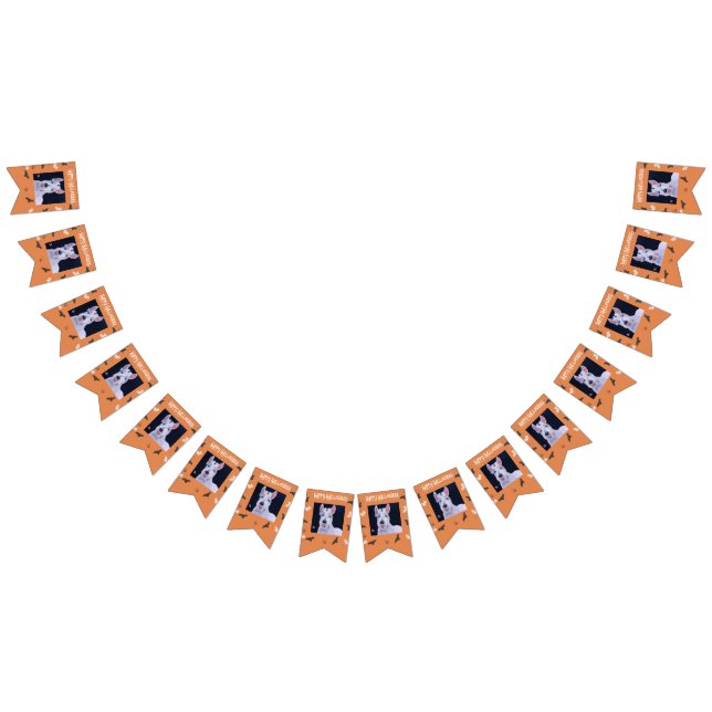 Happy Halloween Bunting (All)