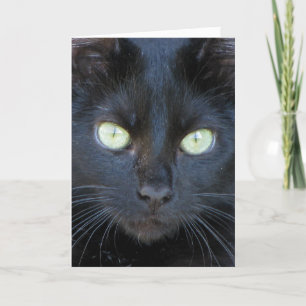 Happy Halloween Card