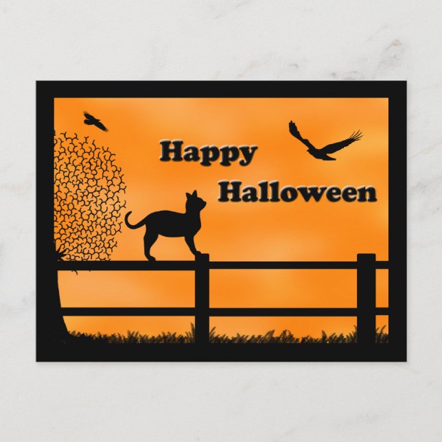 Happy Halloween Cat Post Card (Front)