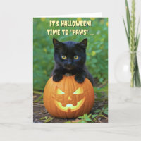 Happy Halloween Cute Black Kitten and Pumpkin Fun