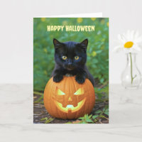 Happy Halloween Cute Little Black Kitten