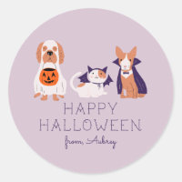 Happy Halloween Cute Pets in Costume