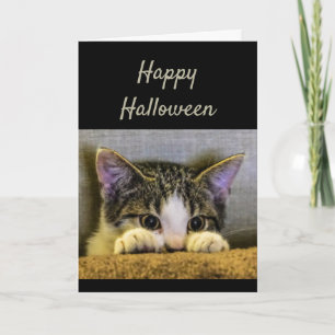Happy Halloween Cute Scared Kitten Funny Card
