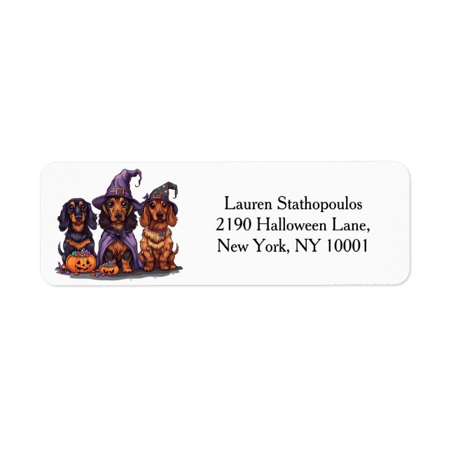 Happy Halloween Dachshund Witch Dogs (Front)