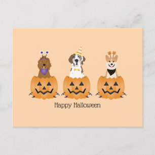 Happy Halloween Dogs In Pumpkins Postcard