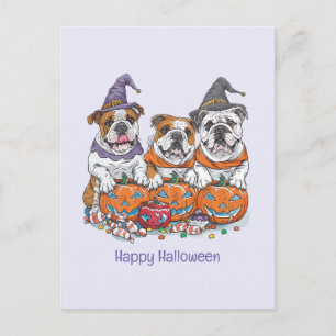 Happy Halloween English Bulldogs Pumpkin Postcard