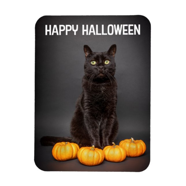 Happy Halloween For Anyone Black Cats With Pumpkin Magnet (Vertical)