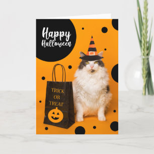 Happy Halloween For Anyone Cute Cat in Witch Hat  Holiday Card