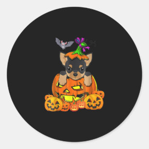 Happy Halloween Funny Chihuahua Pumpkin Gift Classic Round Sticker