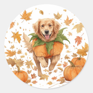 Happy Halloween Golden Retriever Fall Pumpkin Classic Round Sticker