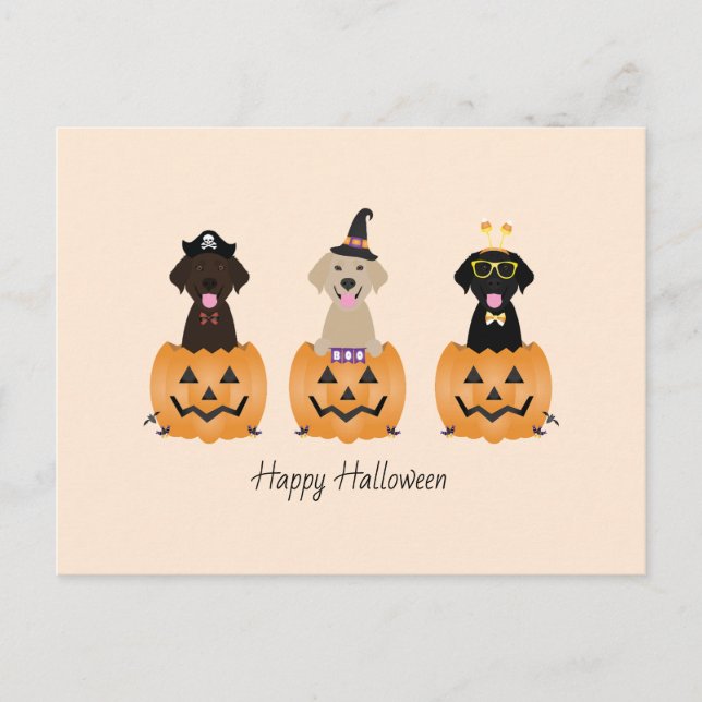 Happy Halloween Labrador Retriever Dogs Pumpkin Postcard (Front)