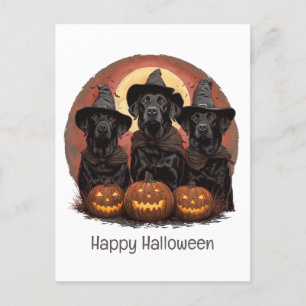 Happy Halloween Labrador Retriever Dogs Witch Hats Postcard