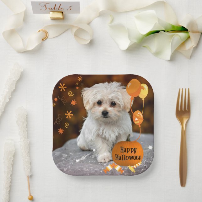 Happy Halloween, Maltese Puppy, Paper Plate (Wedding)