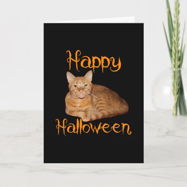 Happy Halloween Non-Scary Orange Tabby Cat Card (Front)