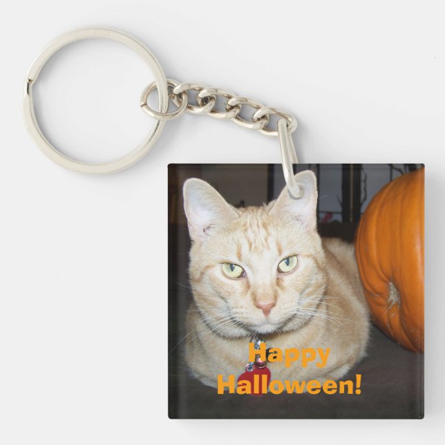 Happy Halloween Orange Tabby Cat With Pumpkin Key Ring (Front)