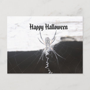 Happy Halloween Postcard