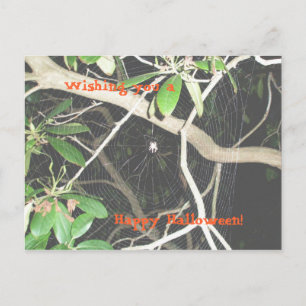 Happy Halloween! Postcard