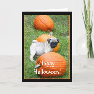 Happy Halloween Pug puppy greeting card