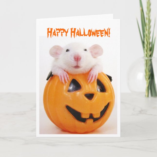 Happy Halloween Pumpkin Rat Card (Front)