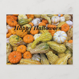 Happy Halloween Pumpkins Postcard