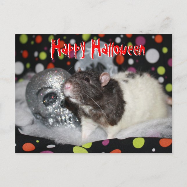 Happy Halloween - Rat Postcar Postcard (Front)
