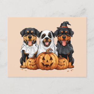 Happy Halloween Rottweiler Dogs Jack O Lantern Postcard