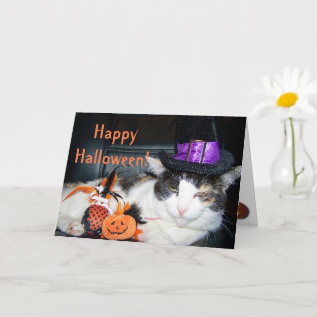 Happy Halloween Witch Cat Card (Small Plant)