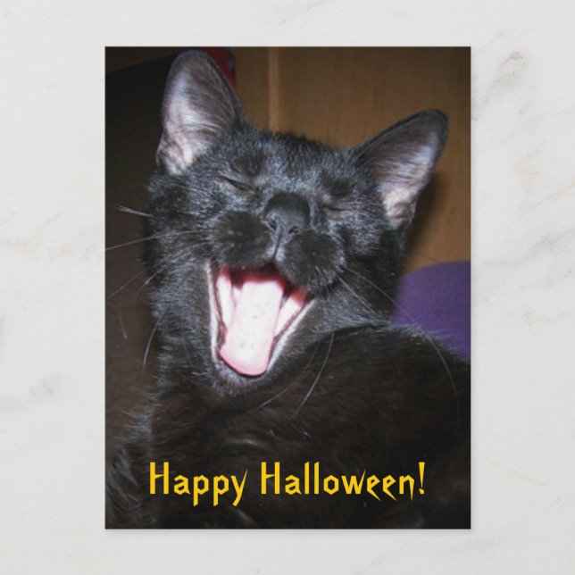 Happy Halloween Yawn Black Cat Postcard (Front)